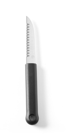 Zestaw 6 noży dekoracyjnych HENDI 856291