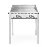 Grill gazowy Green Fire Profi Line 2-palnikowy - 2 ruszty GN1/1 HENDI 149621