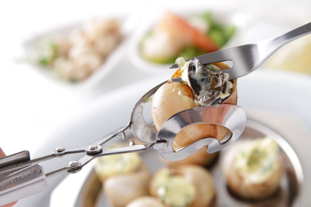 Szczypce do ślimaków - 17cm - zestaw 2szt HENDI 402528