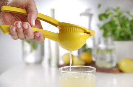 Wyciskacz do cytryn HENDI 592052