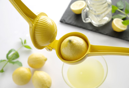 Wyciskacz do cytryn HENDI 592052